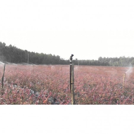 Super10 PC nyomáskompenzált szórófej 550 l/h 24° Zöld fúvókával