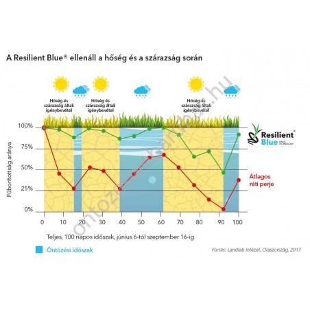 Barenbrug Resilient Blue Lawn fűmag 15kg