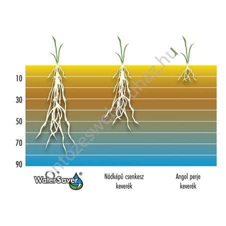 Barenbrug Water Saver fűmag 15kg