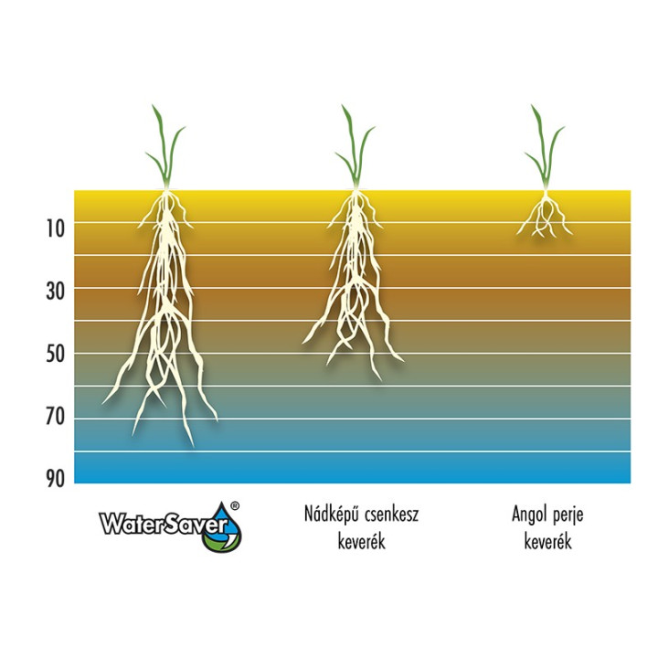 Barenbrug Water Saver fűmag 15kg