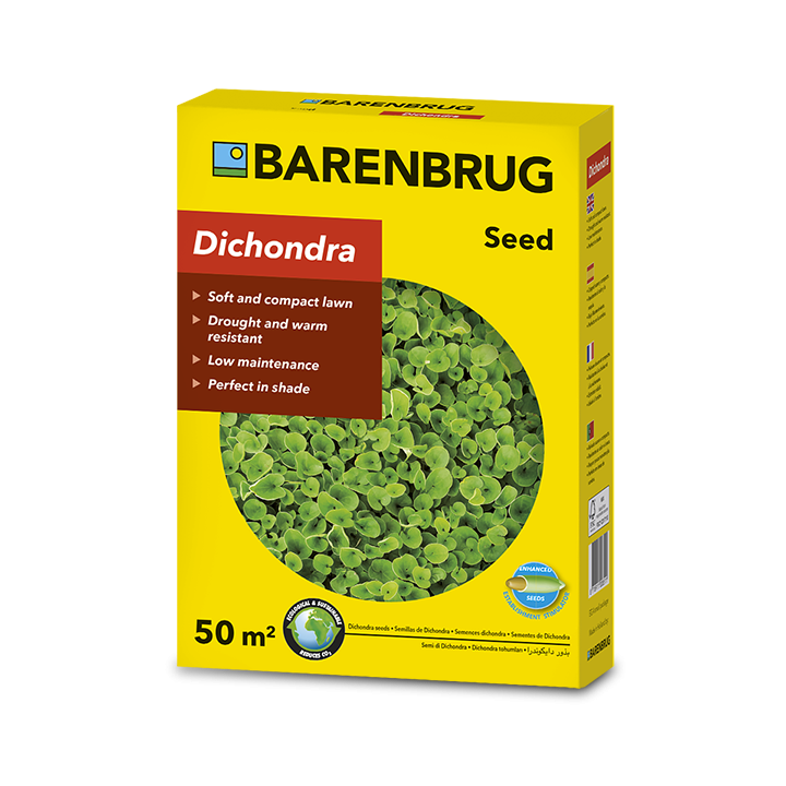 Barenbrug Dichondra mag 0,5kg