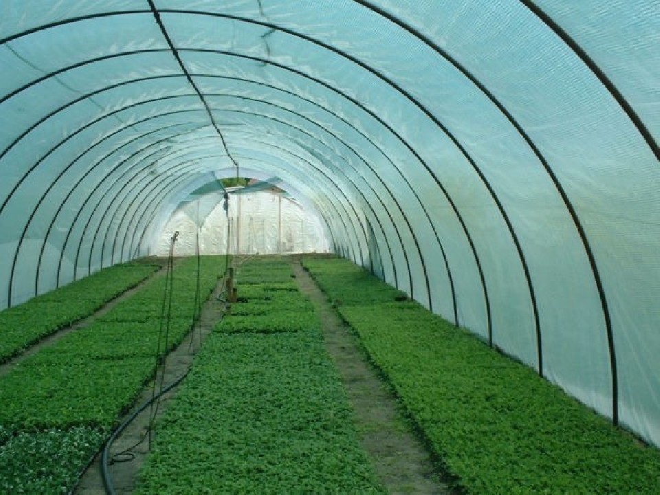 Belátásgátló, szélfogó és árnyékoló háló MEDIUMTEX 160 1,5 m x 25 m 95%