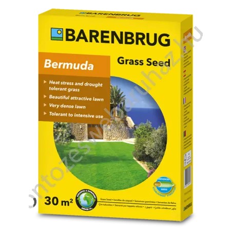 Barenbrug Bermuda Csillagpázsit