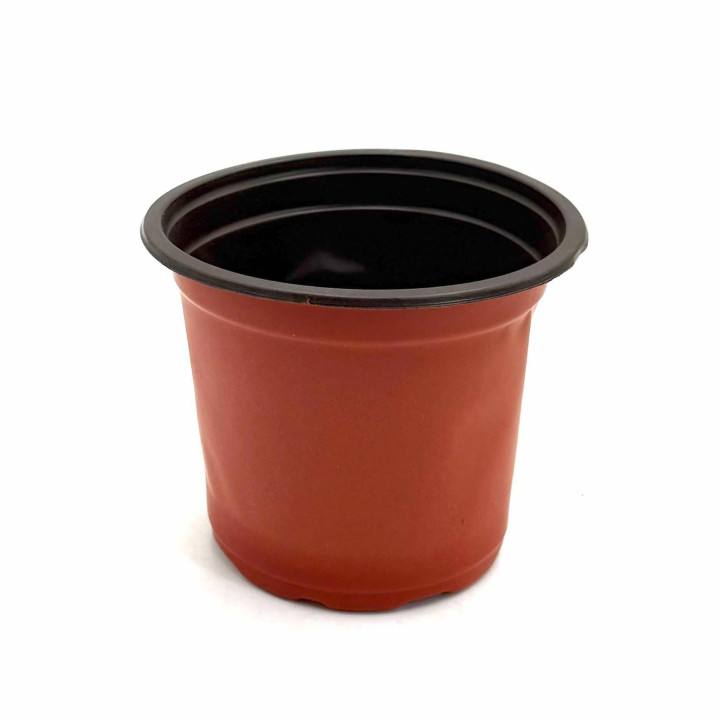 Palántázó cserép Ø 10cm ( FPD-A110 )