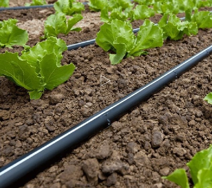 Politape csepegtető szalag 6 mil, 20 cm, 0,6 L / h, 1000 m  (149Ft/m)