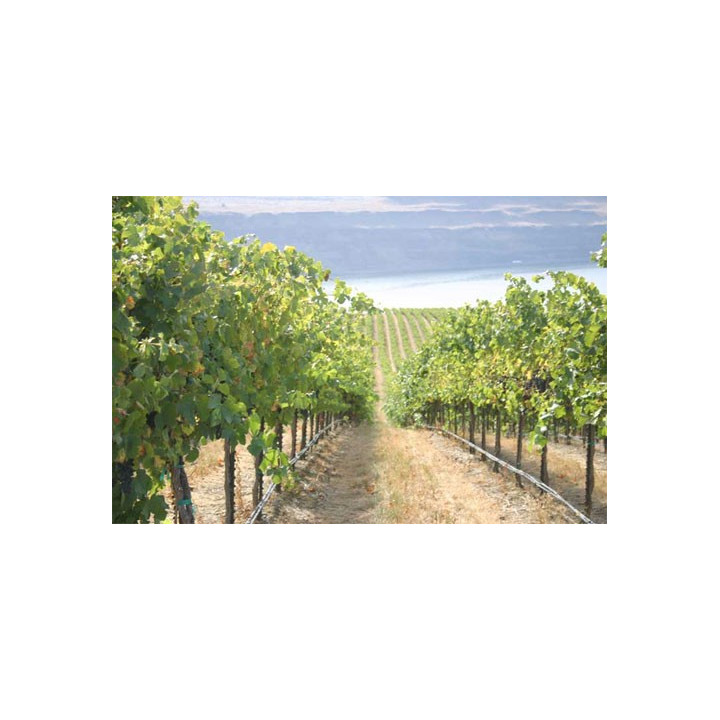 PC csepegtető cső Dynomac PC DN 16 mm 75 cm, 2 l/h, 25 m nyomás kompenzált ( föld alá is fektethető )