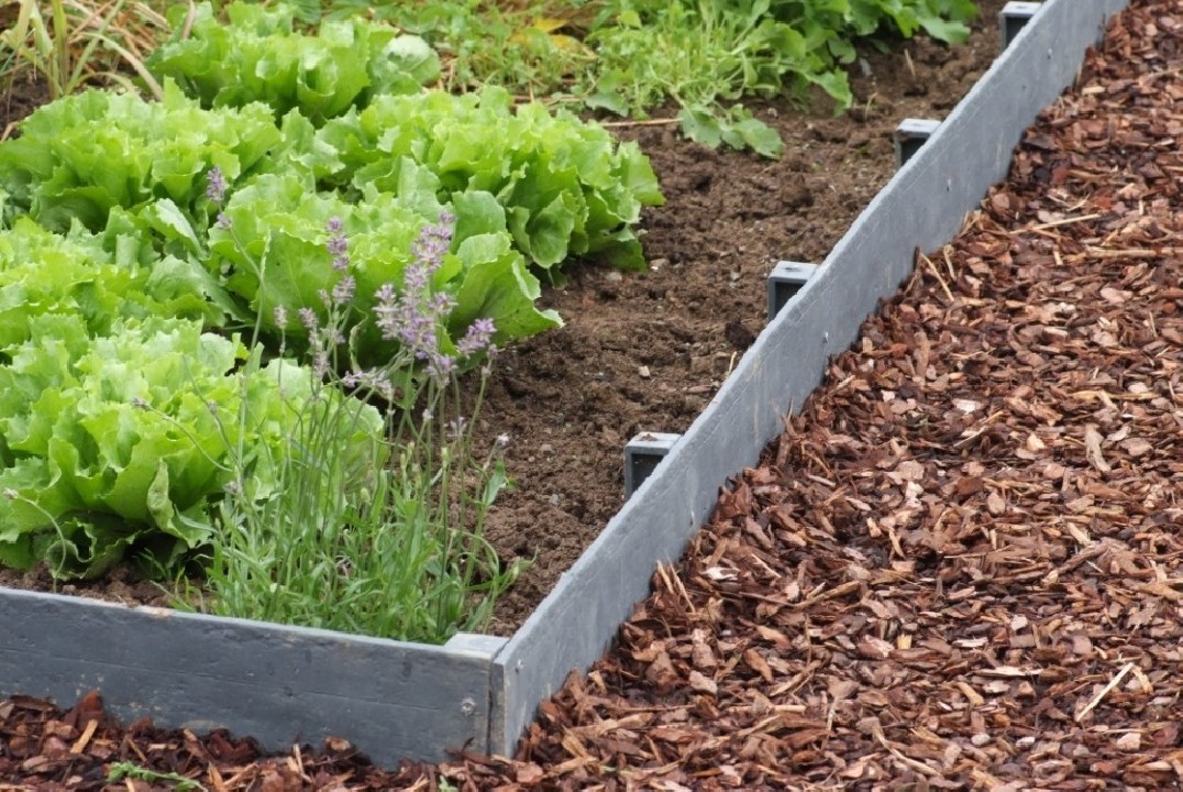 ECOLAT-TÓPEREM 14 cm x 0,7 cm ( 25 m tekercs ) tó és ágyásszegély