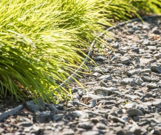 ECOLAT-TÓPEREM 19cmx0,7cm (25m tekercs) tó és ágyásszegély