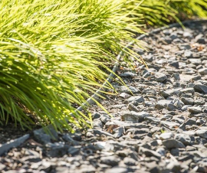 ECOLAT-TÓPEREM 19cmx0,7cm (25m tekercs) tó és ágyásszegély