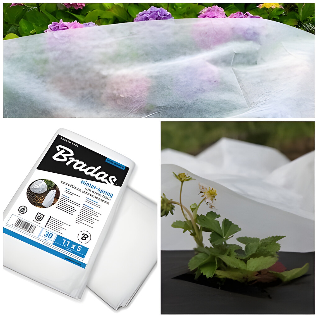 Őszi téli növényvédelem